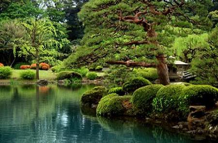 Jardin japones de TeleAdhesivo